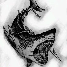Guest_Kobayashidragon