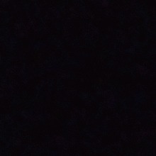 Guest_Larissa9K