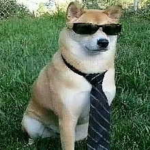 Guest_Enderboss