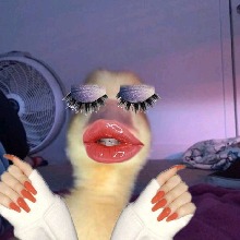 Guest_Sivmey2