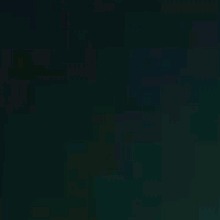 Guest_Nicholas0