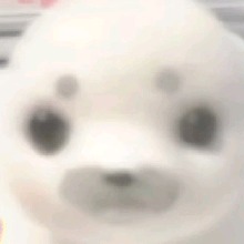Guest_bubblesoup