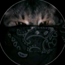 Guest_Andres558850