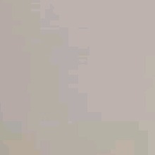 Guest_Noah604001