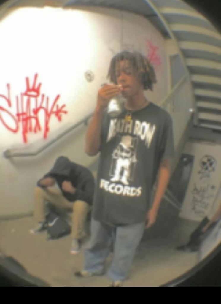 Guest_cheddarmoe