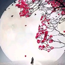 Guest_Ana97824