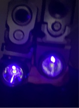 Guest_imtobuzzed