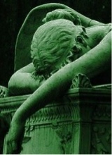 Guest_TR1PP11
