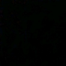 Guest_cristian1279