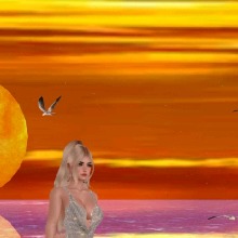 Guest_KIM644723