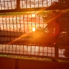 Guest_Abelynrose