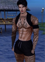 avpic