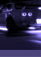 Guest_lolo788667
