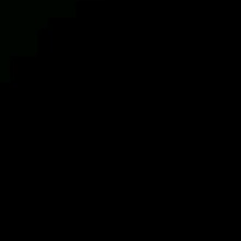Guest_Lia118551