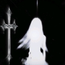 Guest_Lia118551