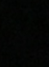 صورة الـavatar