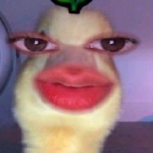 avpic