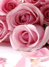 Guest_CynthiaSymone