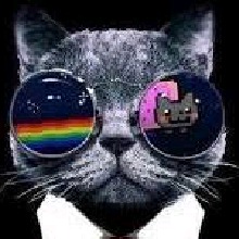 Guest_smokyblacksmokyb25a4