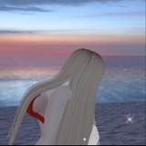 Guest_FerLarr