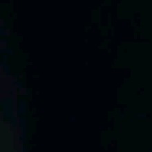 Guest_Paola859404