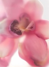 Guest_2pretty4u3