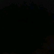 Guest_Aylla848439