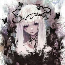 Guest_Nora539237