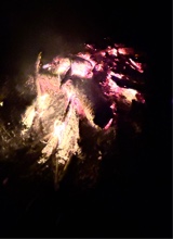 Guest_yourgirlaudre