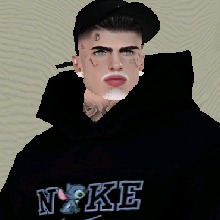 Guest_AraujoBJJ