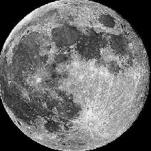 Guest_MoonLight161341