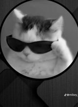 Guest_CorniM1