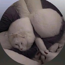 Guest_leesk