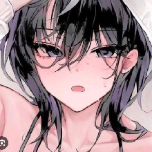 Guest_Mei113815