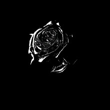 Guest_Ghost238590