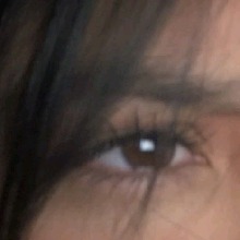 Guest_Sofia681573