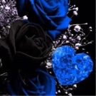 Guest_deebaby7