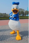 Guest_Jack862531