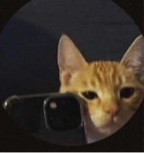 Portrait de l'avatar