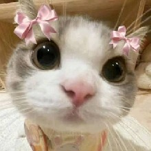 Guest_ValeMeow