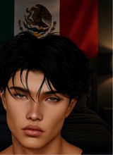 Guest_mexicanomig1