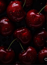 Guest_AridABADDIE691