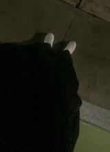 Guest_Cesar832018