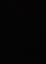 Guest_ysnbxnkrxll1