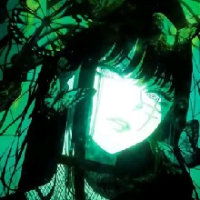 Guest_Ayla264000