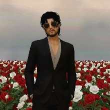 Guest_kingjaguar