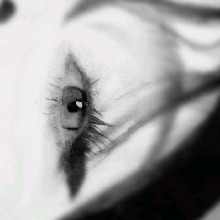 Guest_Hanna06