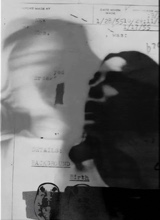Guest_sandstormforestg6cd3