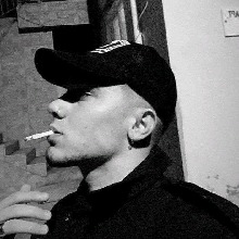 Guest_Vnzin1