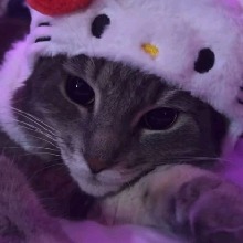 Guest_Bellxz3